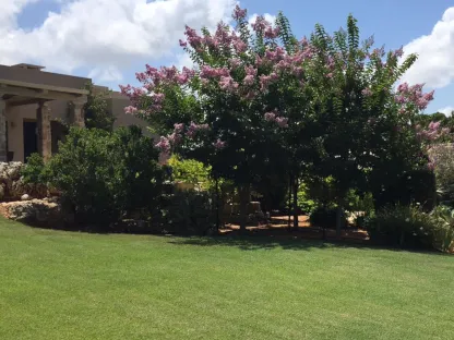 מדשאה אביבית