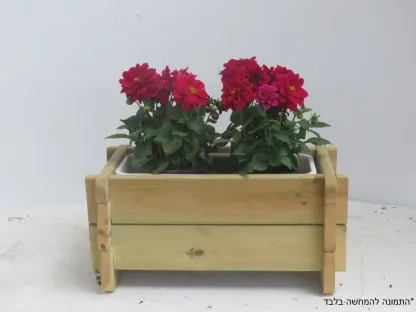 אדנית צמחים פורחים