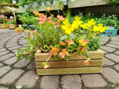 ארגז עץ מעוצב עם שני עציצי ליטר