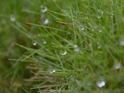 אקולוגיה וטבע