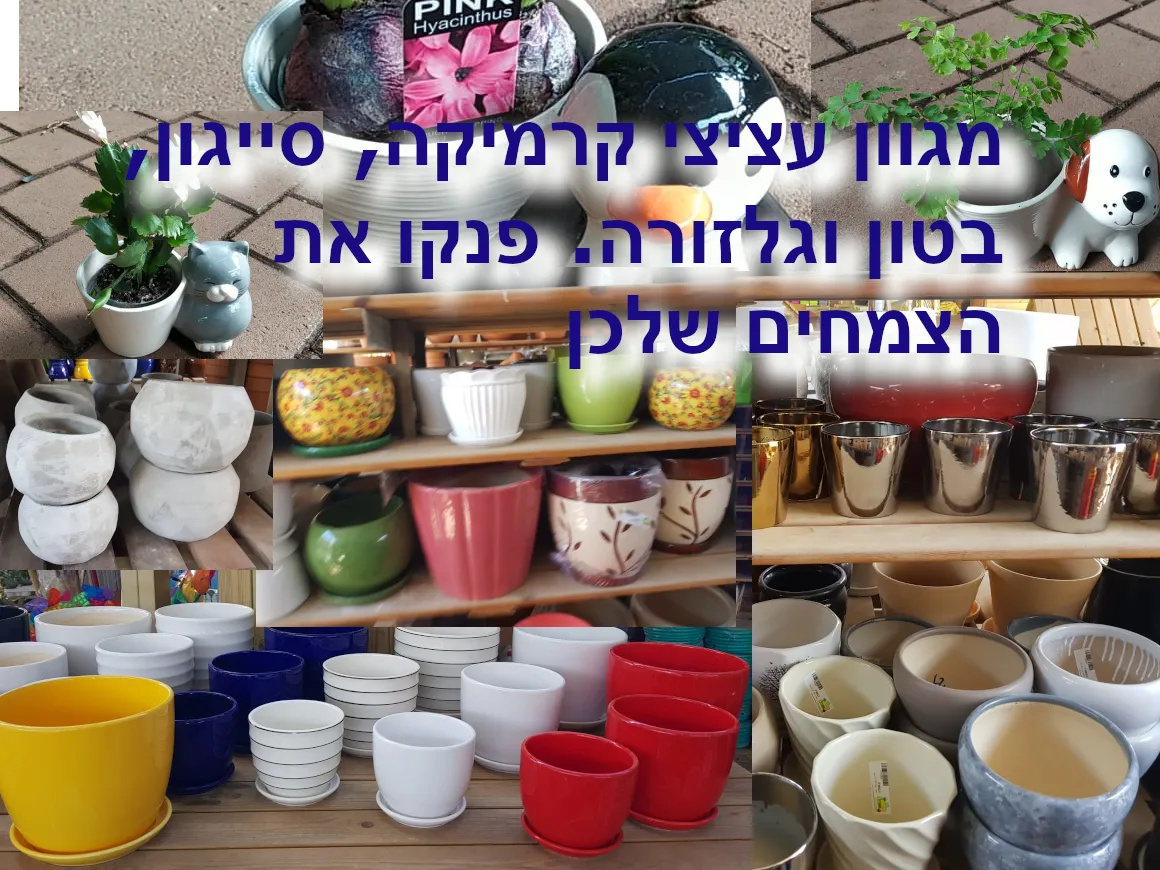 עציצי קרמיקה 11