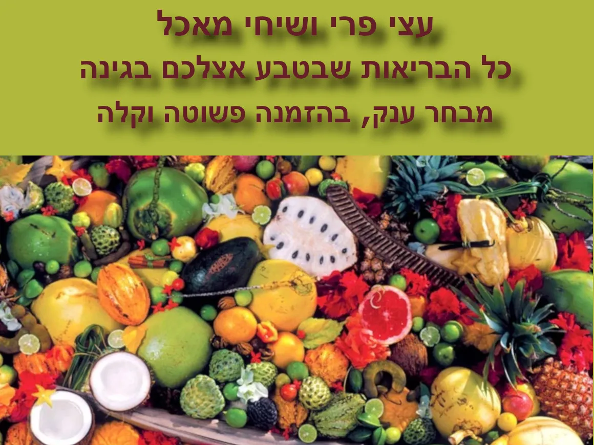 שיחי מאכל ועצי פרי 11