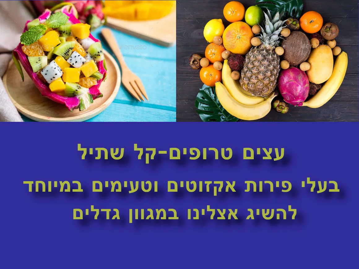 עצי פרי ונוי אקזוטיים 11