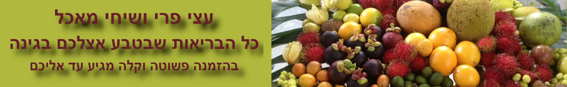 שיחי מאכל ועצי פרי 12