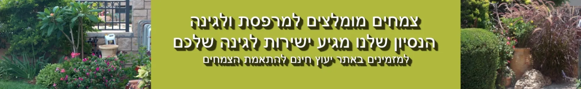 יעוץ חינם למזמינים צמחים באתר