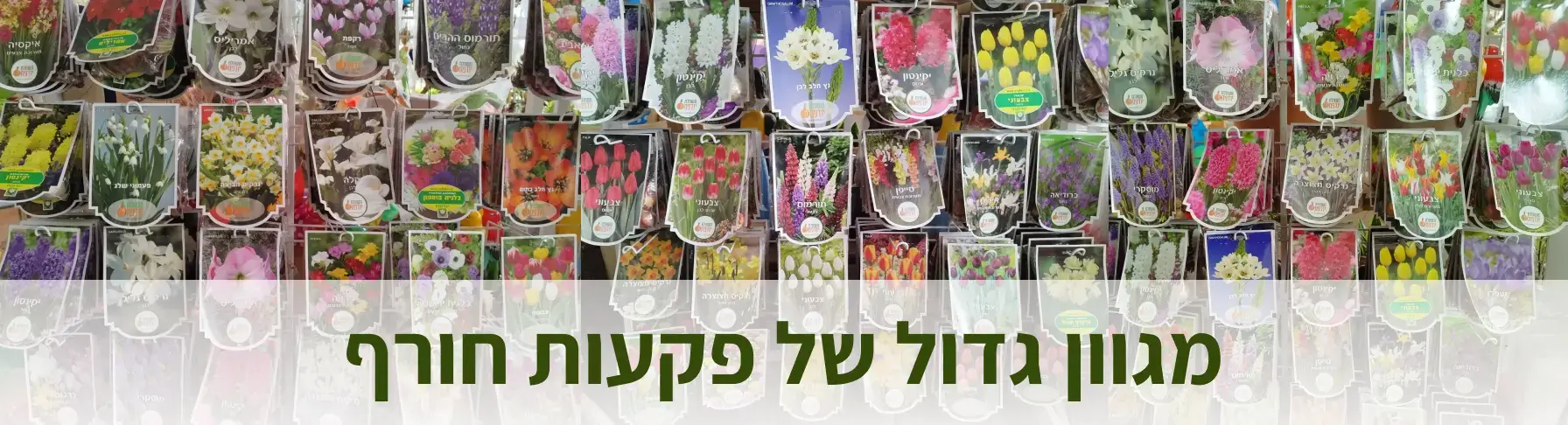 אדניות ושובכים מעץ מלא אומנות עץ קלילה לגינה שלכם