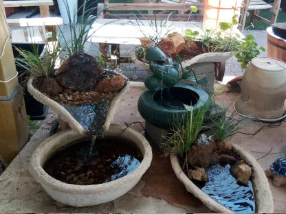 בריכות נוי המצריכות משאבה