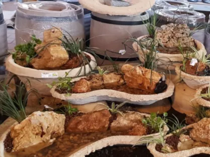 בריכות נוי עם צמחיה לבית