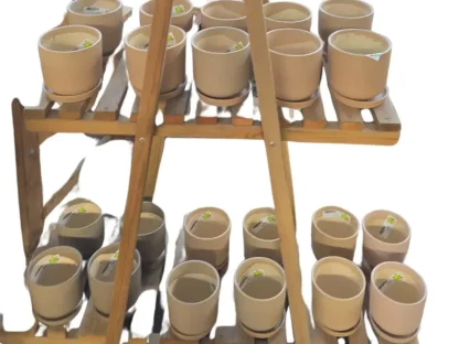 עציצים קרמיים עם תחתית תואמת, בקוטר 12 ס"מ, בצבע טורקי עיצוב עגול ונקי, מתאימים לצמחי בית קטנים וקיש