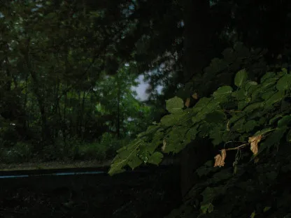 גינה לעת ערב