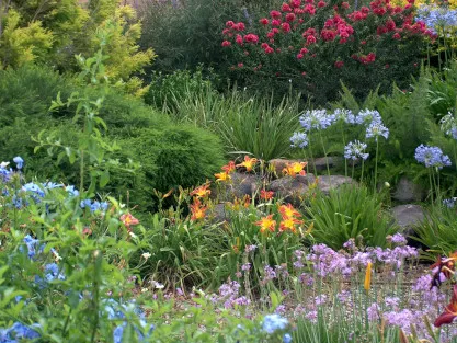 גינה פורחת בשלל צבעים