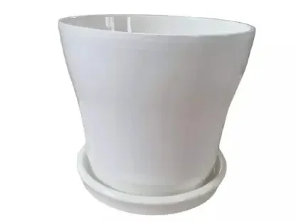 עציץ עם תחתית בצבע קרם-שמנת