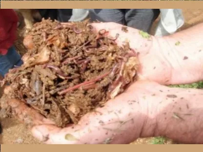 חופן תולעים אדומות