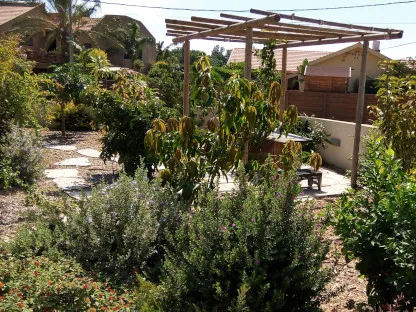 פרגולת נוי ובוסתן בגינה שהקמנו