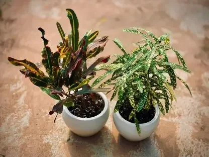 קודן מגוון בסייגון – שני סגנונות לבחירה!