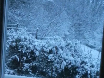 מהחלון של אבא בחו"ל