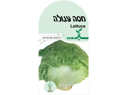חסה עגולה זרעים אורגנים