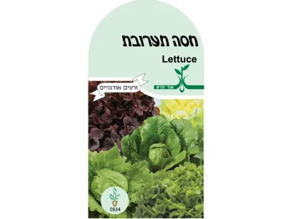 חסה תערובת זרעים אורגנים