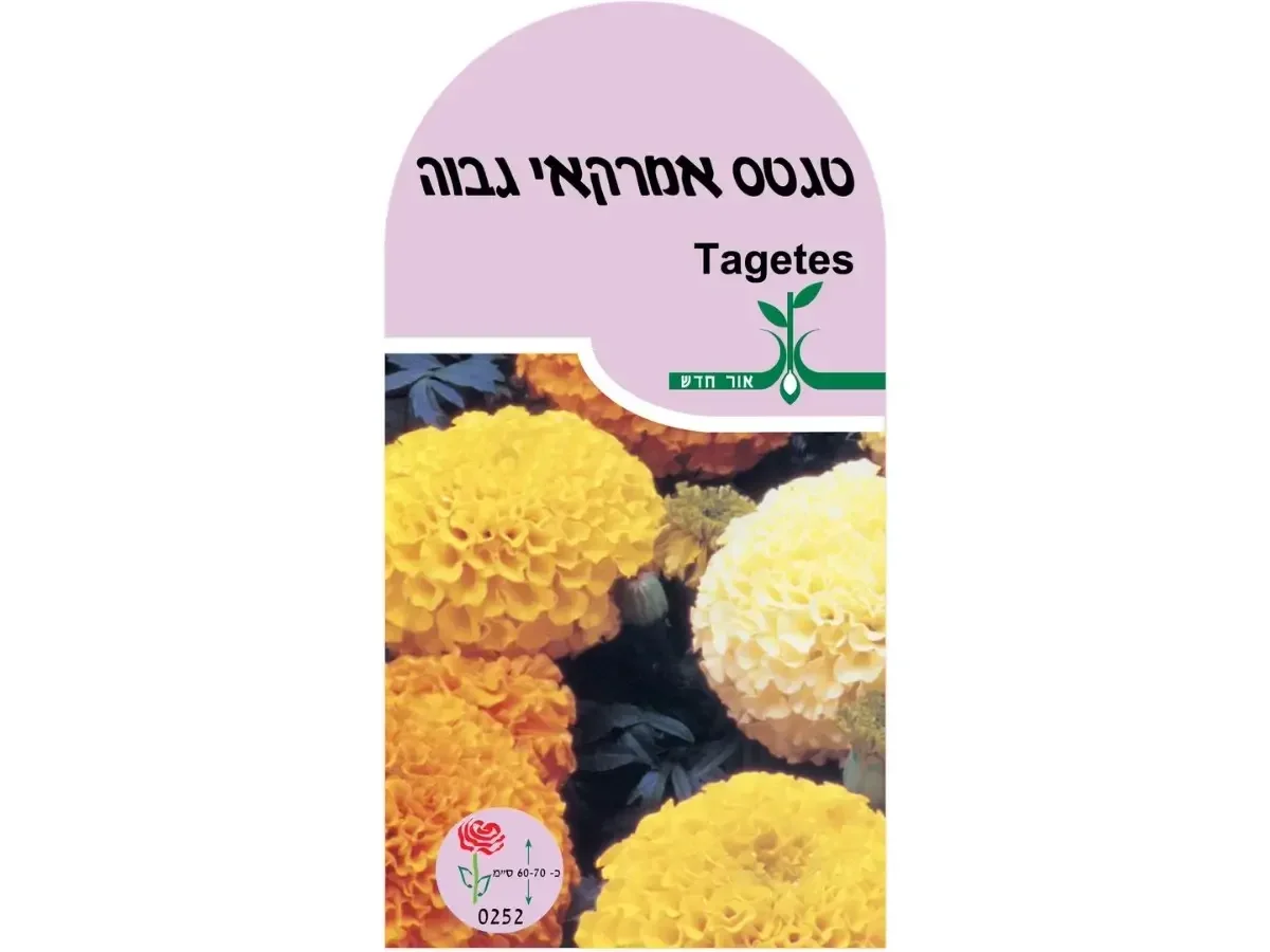 טגטס אמריקאי גבוה חפיסת זרעים