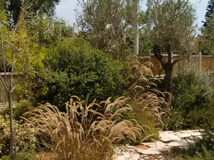 גינה ביתית בעונת הקיץ