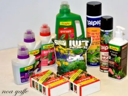 טיפולים בגן