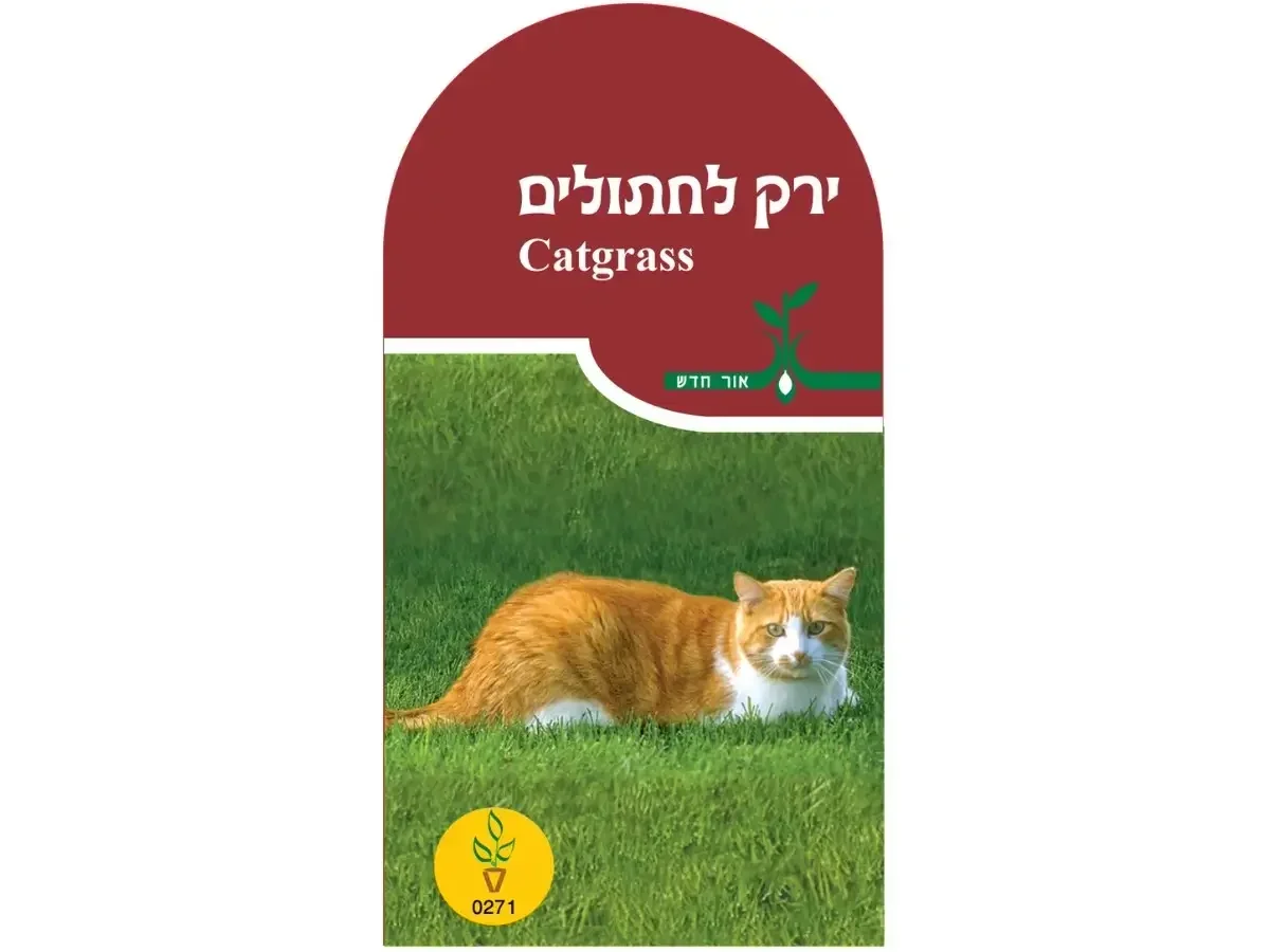 ירק חתולים חפיסת זרעים