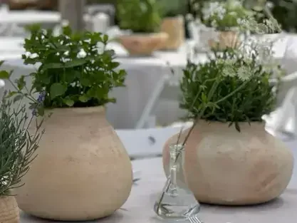 עציצי חרס חברוני כדקורציה באירוע