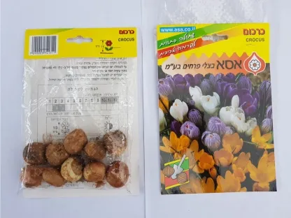 פקעות כרכום תערובת צבעים