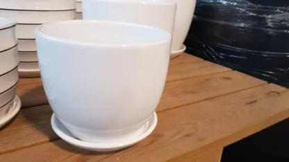 עציצי קרמיקה בצבע לבן חלק  עם תחתית W102