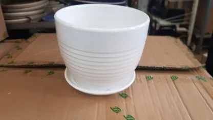 עציצי קרמיקה בצבע לבן חצי-פסים  עם תחתית W102