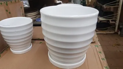 עציצי קרמיקה בצבע לבן פסים אופקיים  עם תחתית