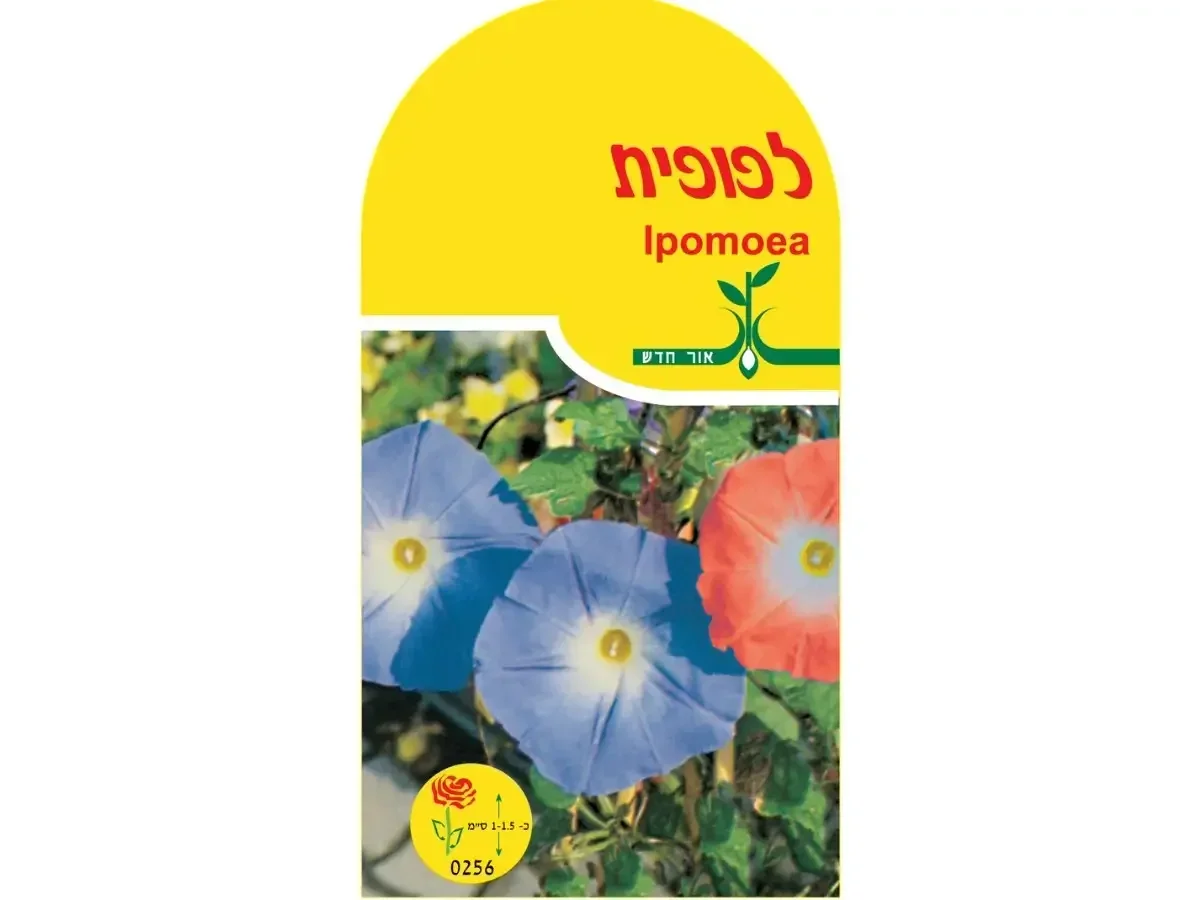 לפופית. זרעים אורגנים