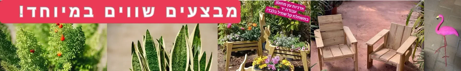 מבצעים שווים במיוחד באתר!