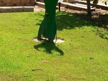 מדשאה במושב ביתן אהרון