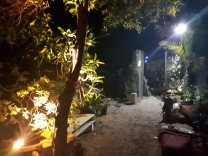 תאורת גן סולרית