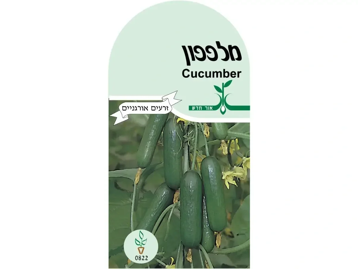 מלפפון זרעים אורגנים