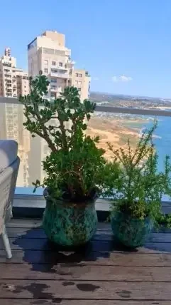 מרפסת גבוהה שטופת שמש עם קרסולה ופורטולקריה