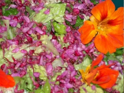 תבשיל עם פרחי מאכל