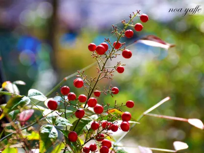ננדינה תרבותית
