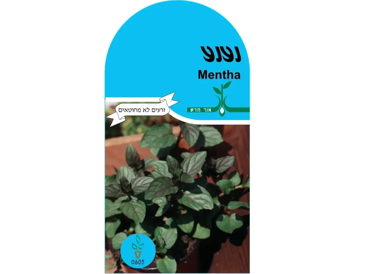 זרעי נענה נענע אורגנים