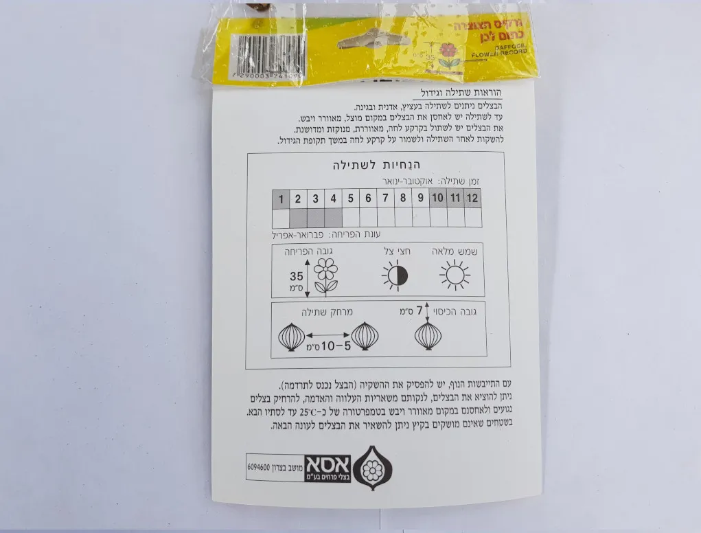 פקעות נרקיס חצוצרה לבן כתום