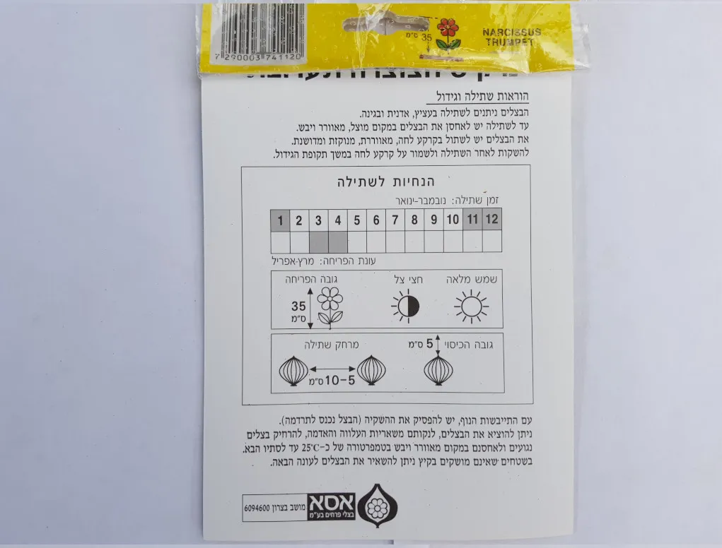 פקעות נרקיס חצוצרה תערובת