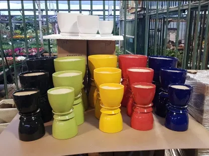 __עציצי סייגון החל מ2021