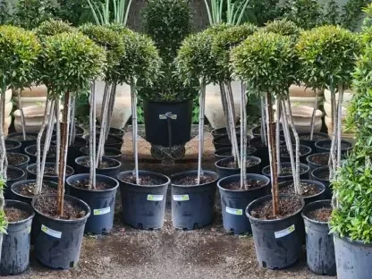 סיזיגיון מעוצב כסוכריה על מקל