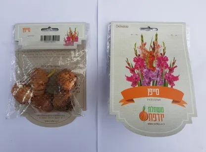 פקעות סייפן