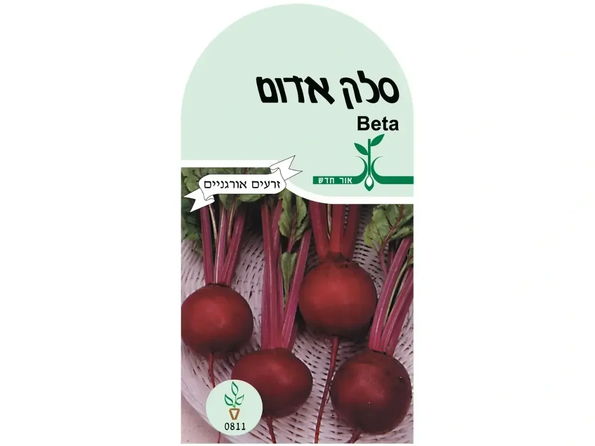 סלק אדום זרעים אורגנים