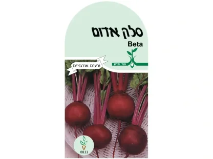 סלק אדום זרעים אורגנים