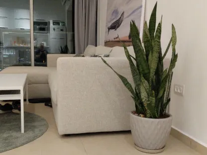 כידונן מגוונת בסלון בתל אביב