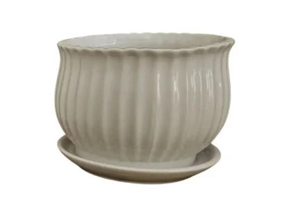 ע. לבן פסים עם תחתית מובנית