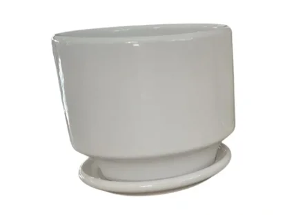 ע. לבן צוואר עם תחתית מובנית